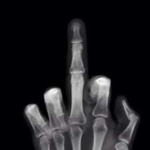 Meet your Posher, Jerry